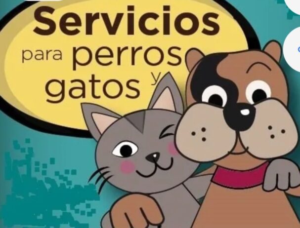 MANTENIMIENTO DE ANIMALES