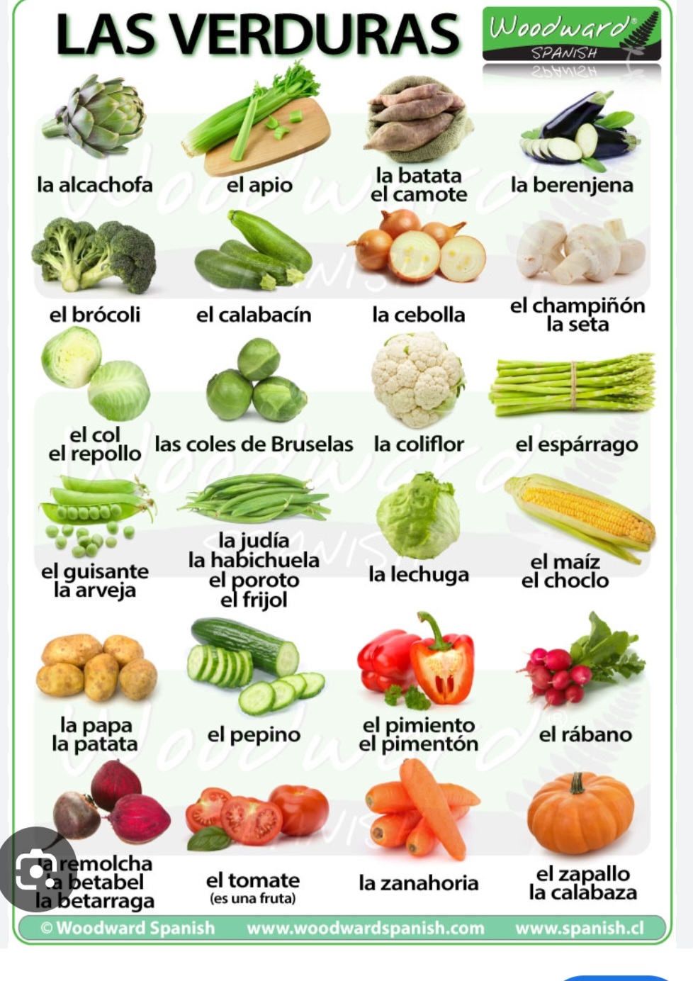 VERDURAS FRESCAS