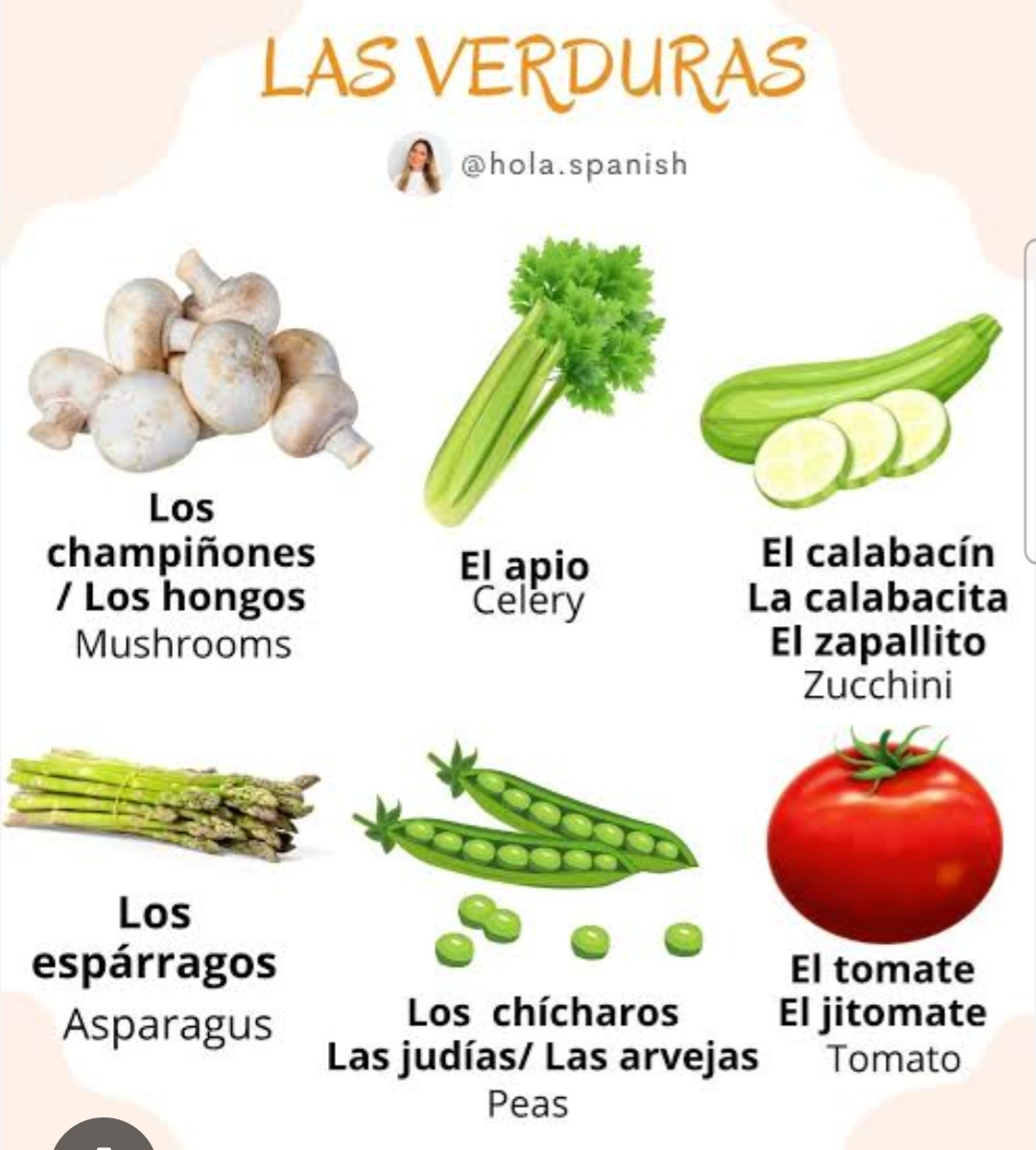 VERDURAS FRESCAS