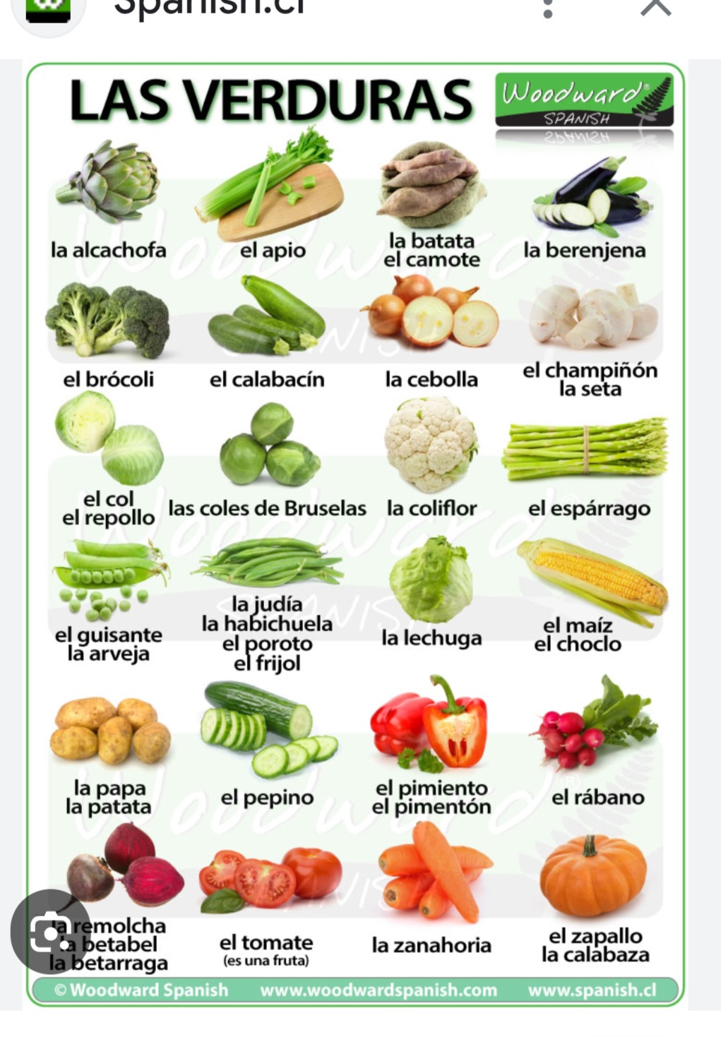 VERDURAS FRESCAS