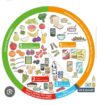 PRODUCTOS DE ALMACEN