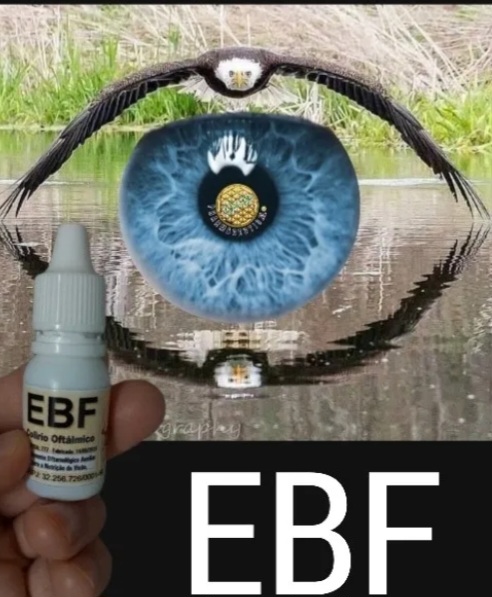 LIMPIEZA DE ANTEOJOS