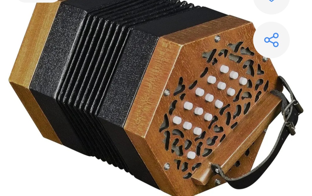 ACORDEON Y BANDONEON